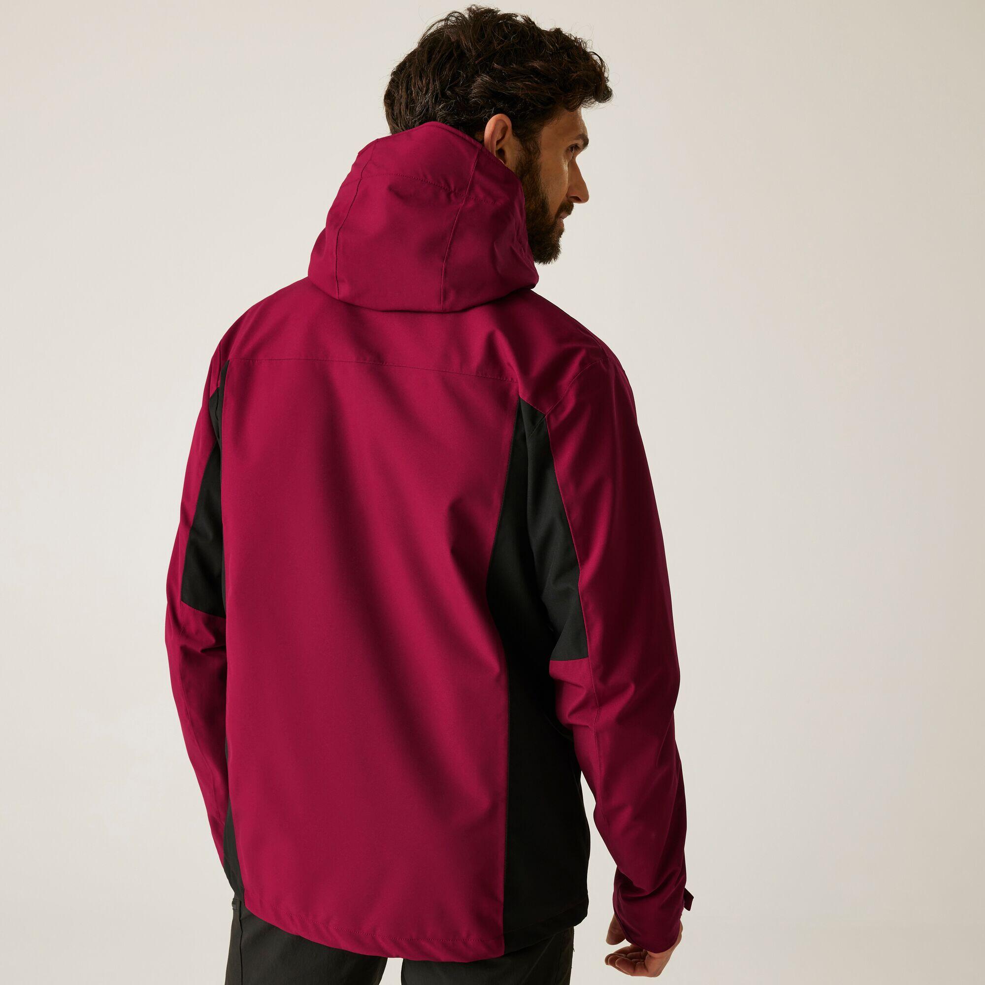 Veste - Birchdale homme 3/7