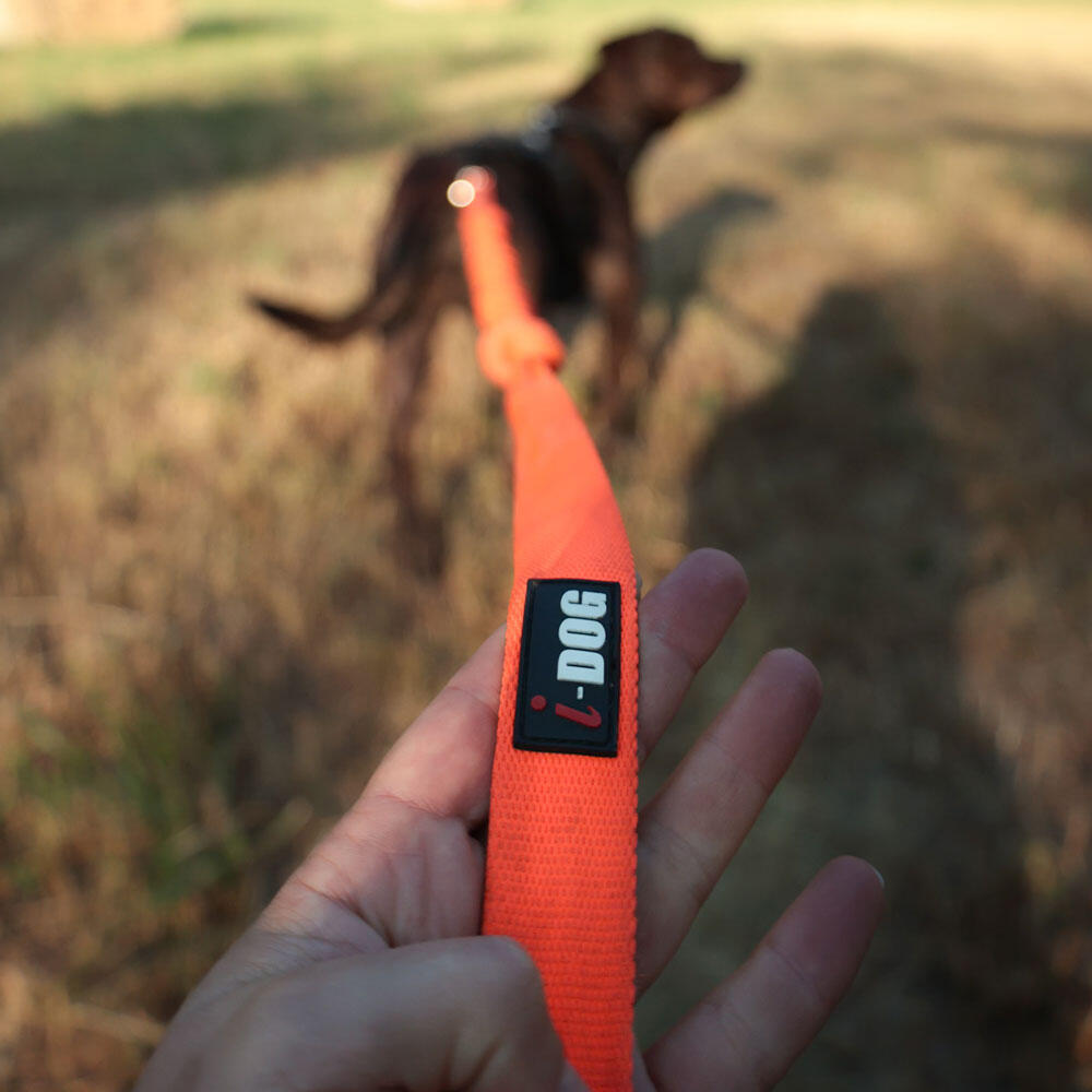 Longe laisse de traction ONE pour courir avec son chien canicross, sport/loisirs 3/7