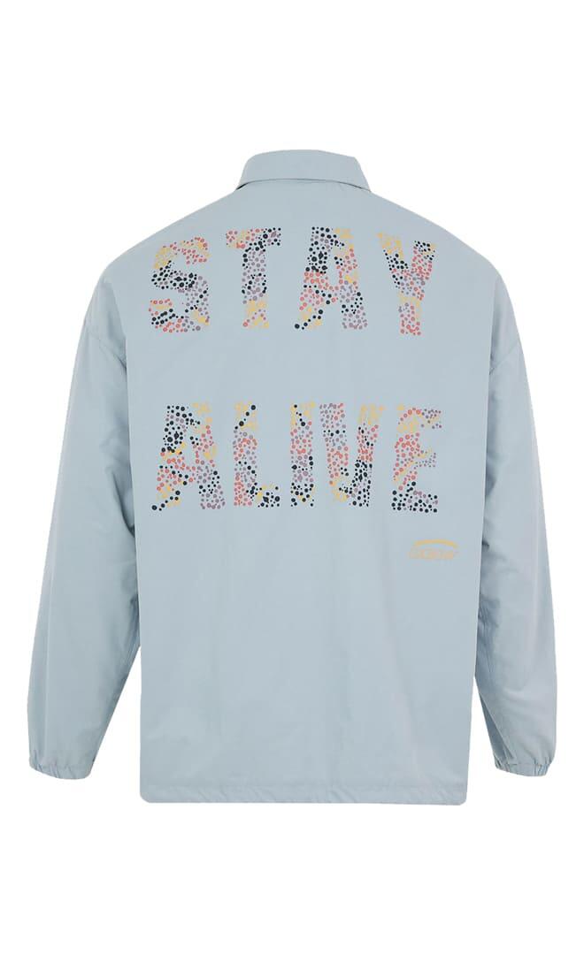 Onno Light Blue Chaqueta Unisex 6/7