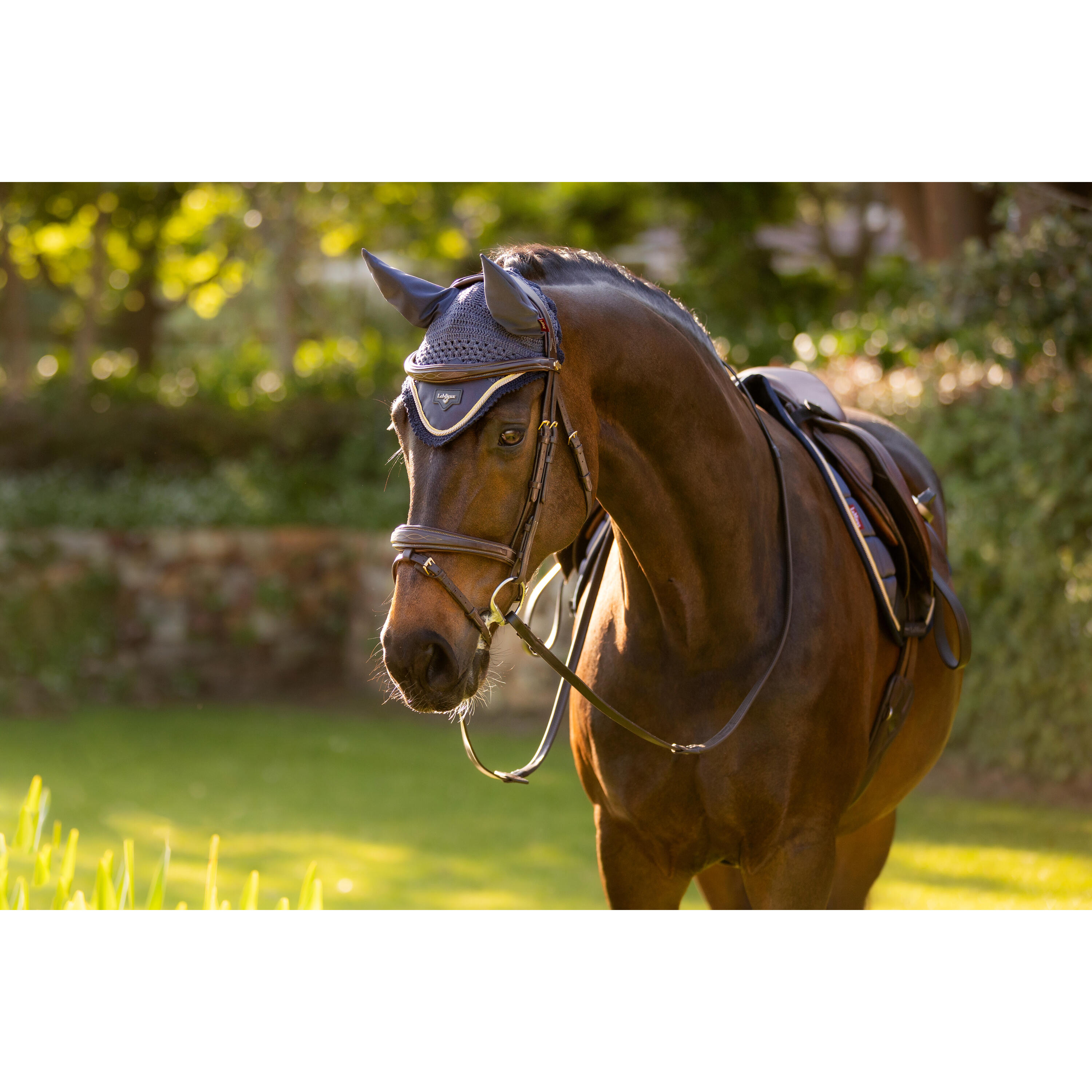 Bonnet pour cheval LeMieux Loire 4/7
