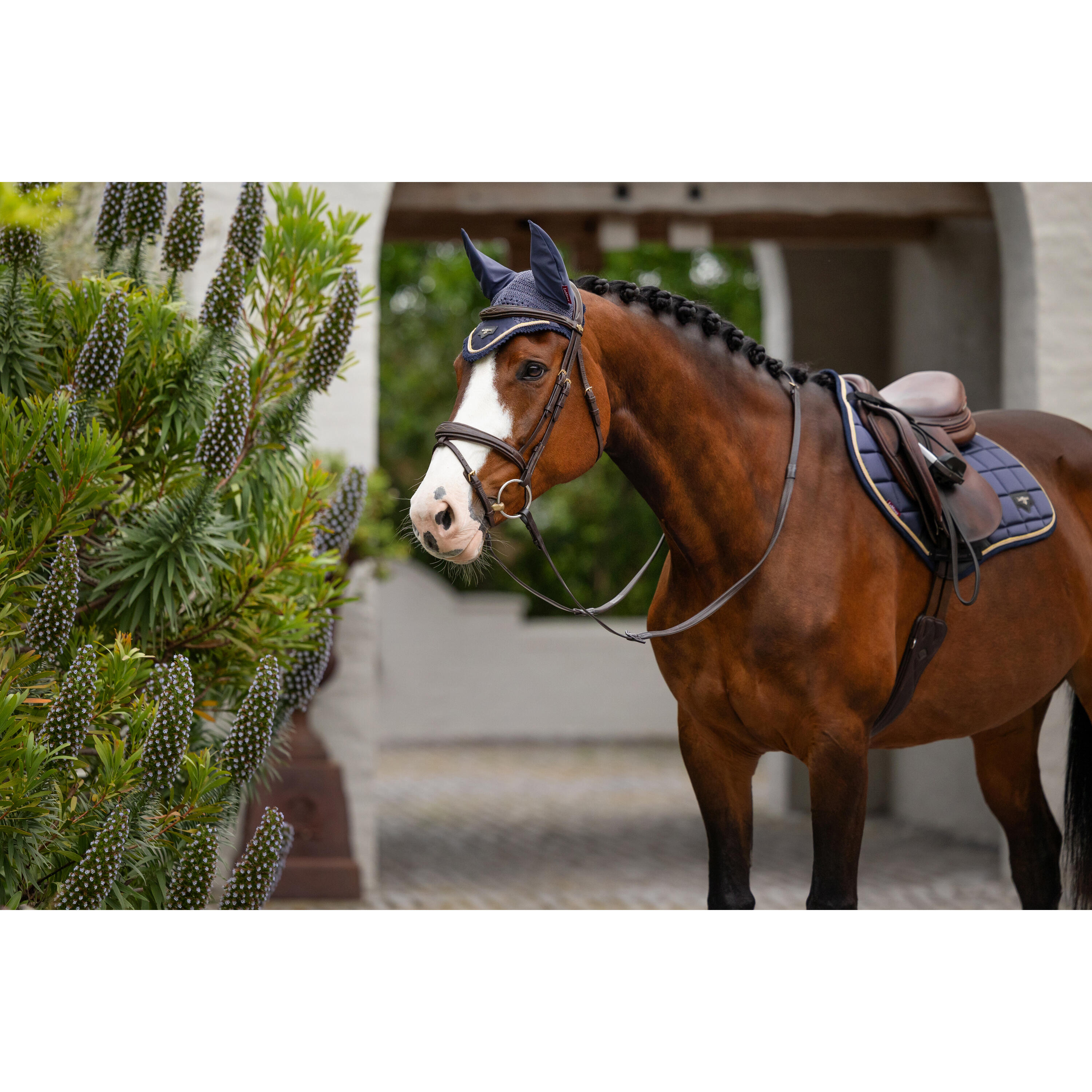 Bonnet pour cheval LeMieux Loire 5/7