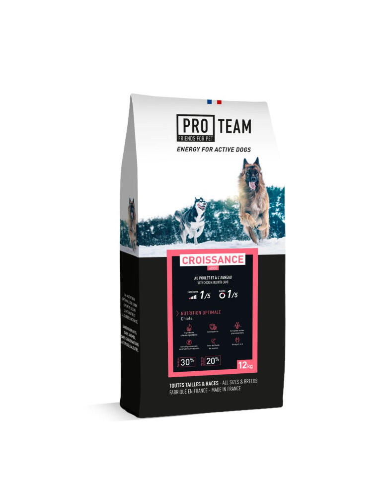 PRO TEAM picture