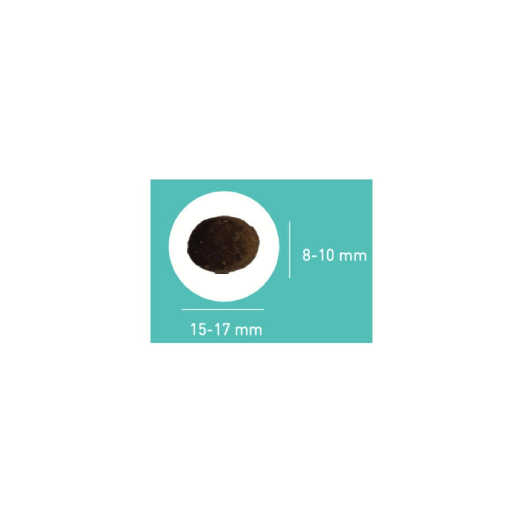 Croquettes chien adulte actif sensible poulet et poisson- Pro Team Sensible 3900