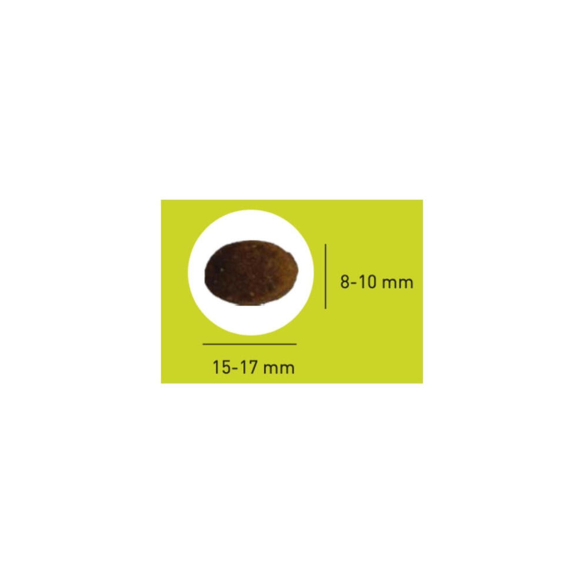 Croquettes chien adulte maintenance au poulet - Pro Team Equilibre 3700