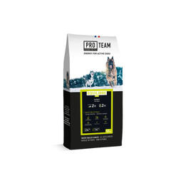 Croquettes chien adulte maintenance au poulet - Pro Team Equilibre 3700