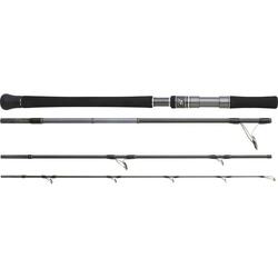 Canne spinning Hearty Rise Skywalker Popping 20-100g