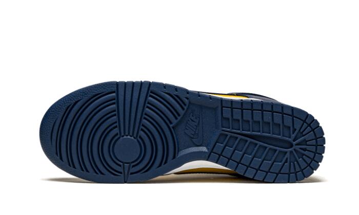 Dunk Low Michigan 3/4
