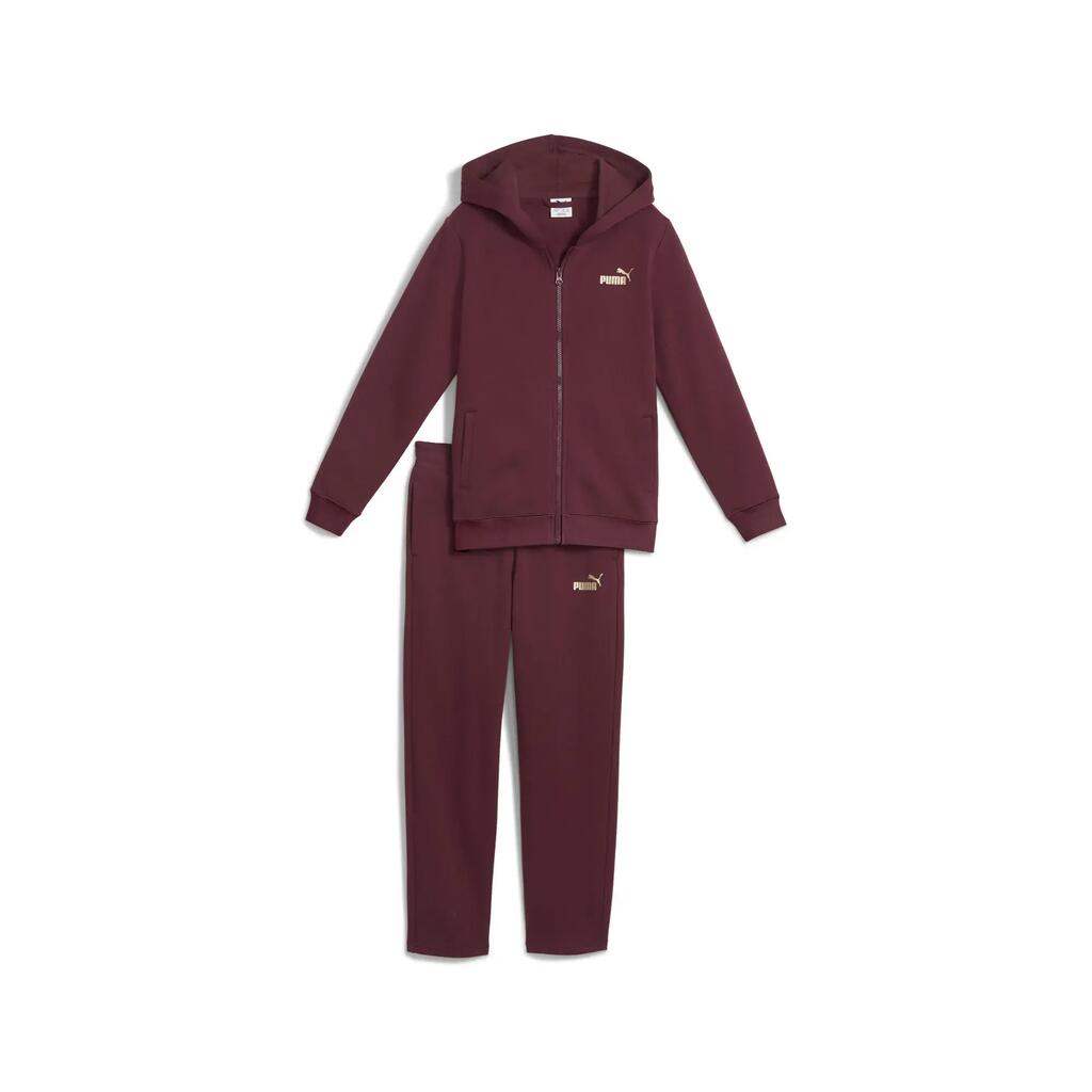 Мъжка спортна чанта за пътуване THE NORTH FACE BASE