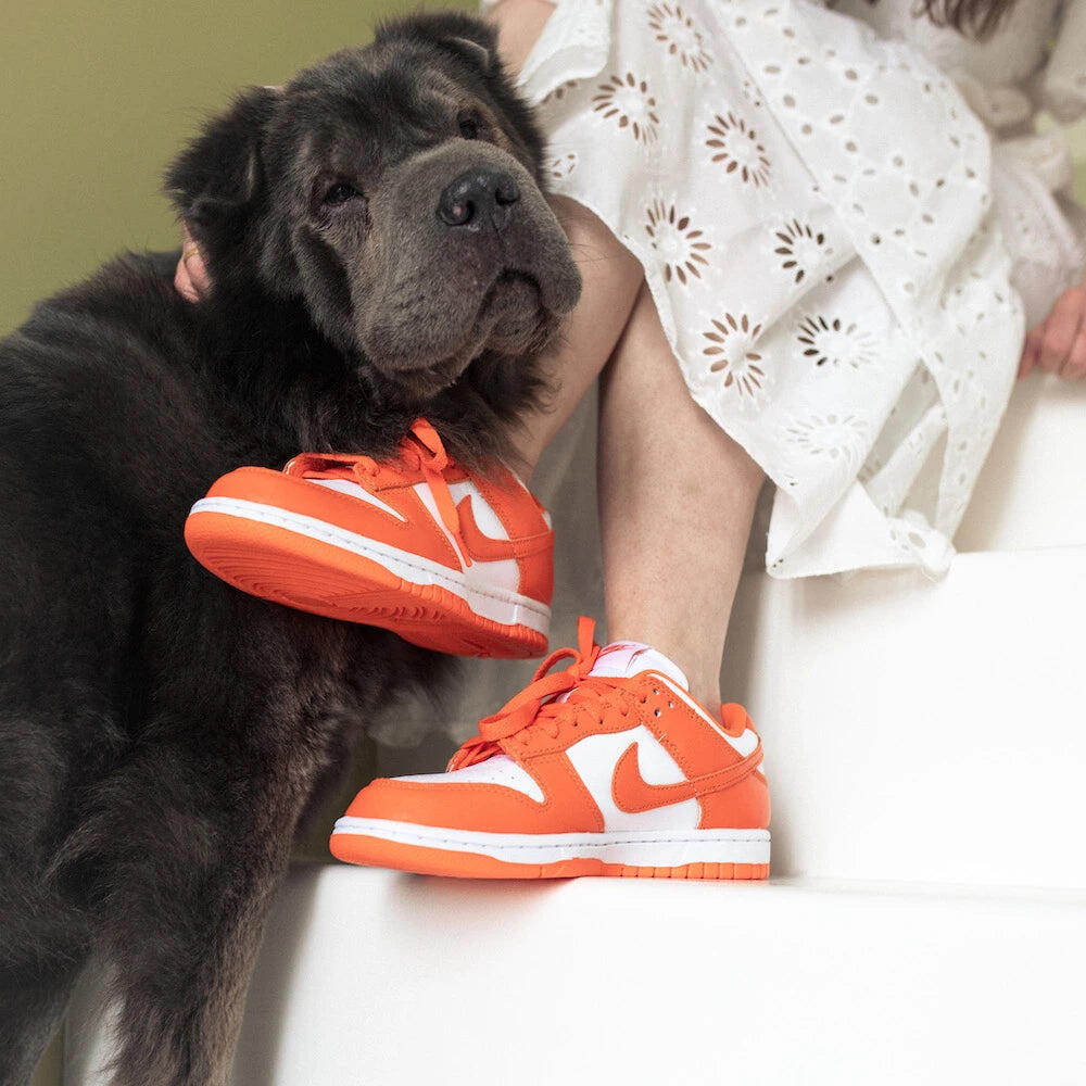 Zapatillas Dunk Low SP Orange Blaze (Syracuse) 4/6