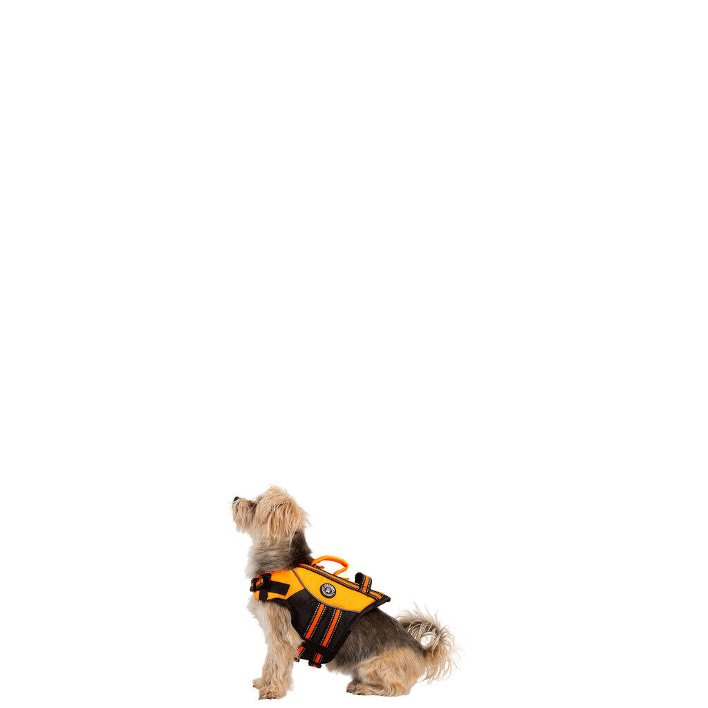 Trespass SURFDOG - Schwimmweste für Hunde 5/7
