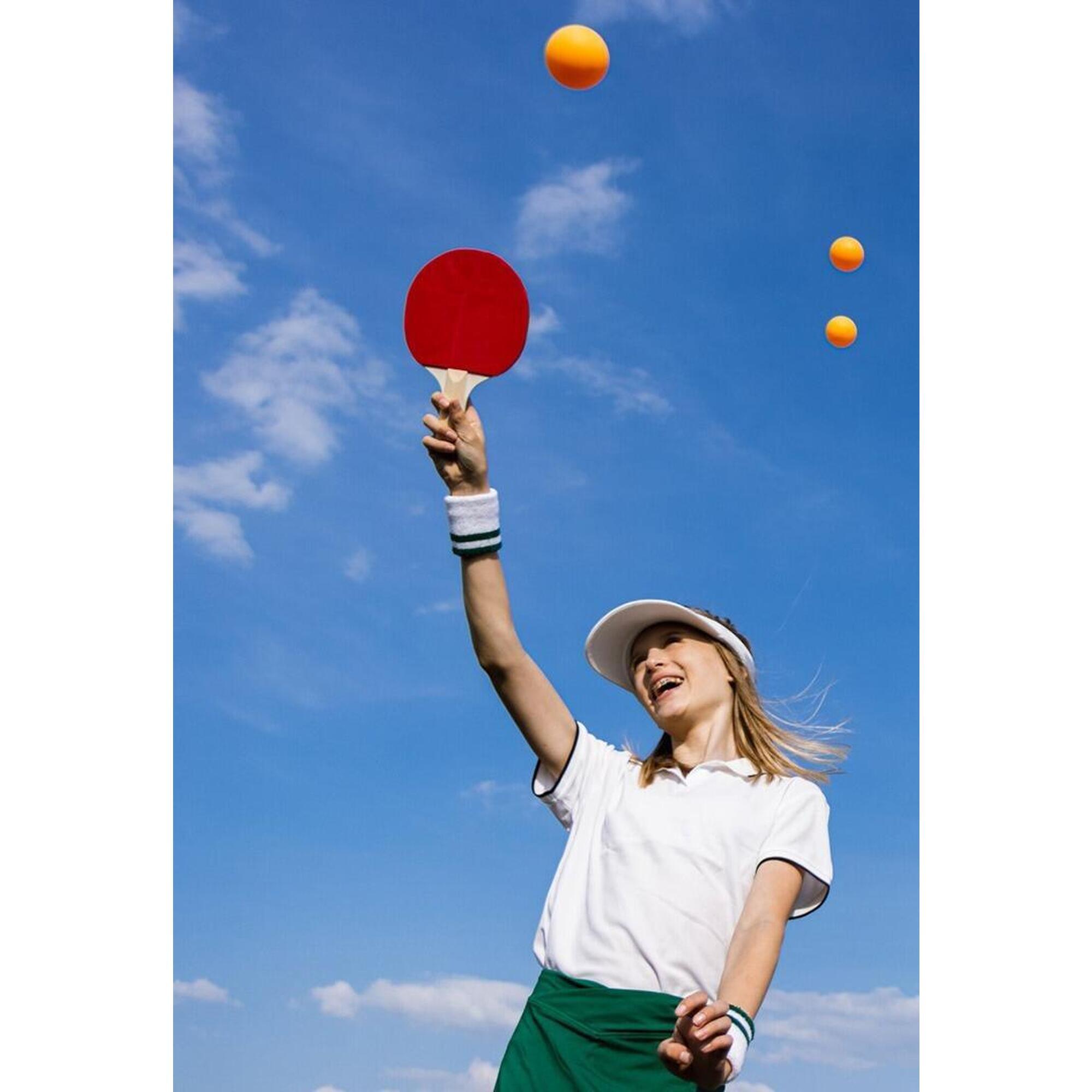 Set de tenis de masă cu 2 bâte, 3 mingi și fileu