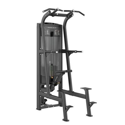 Absolute - assist pull up/dip plx-8400