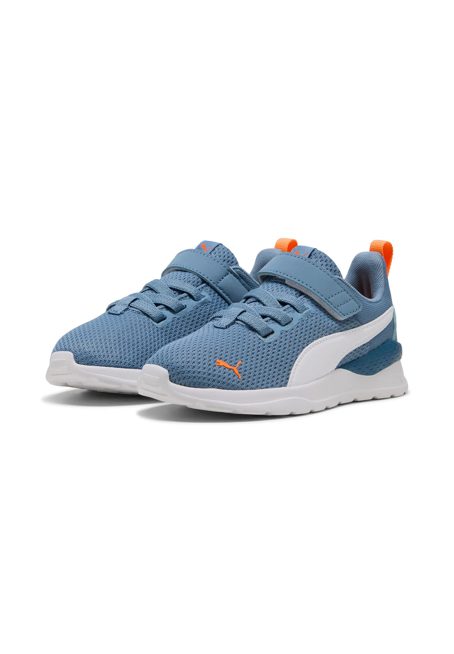 PUMA picture