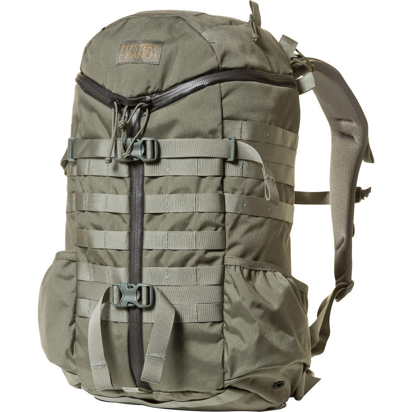 MYSTERY RANCH Mystery Ranch 2 Day Assault Rucksack Foliage