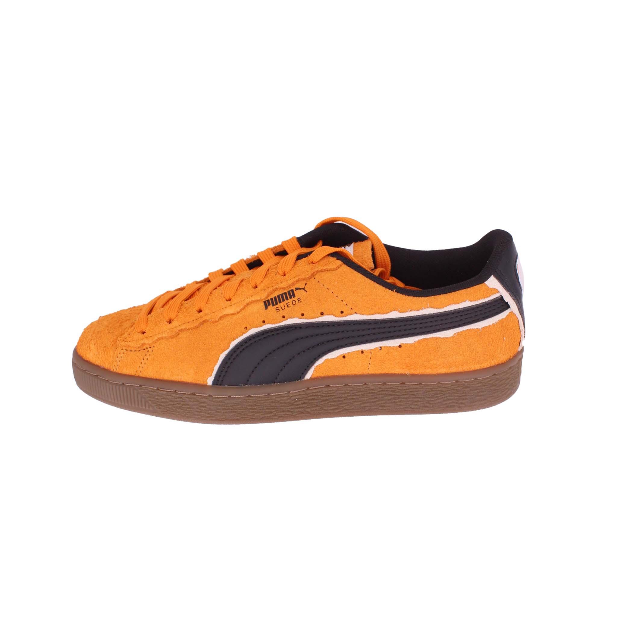PUMA picture