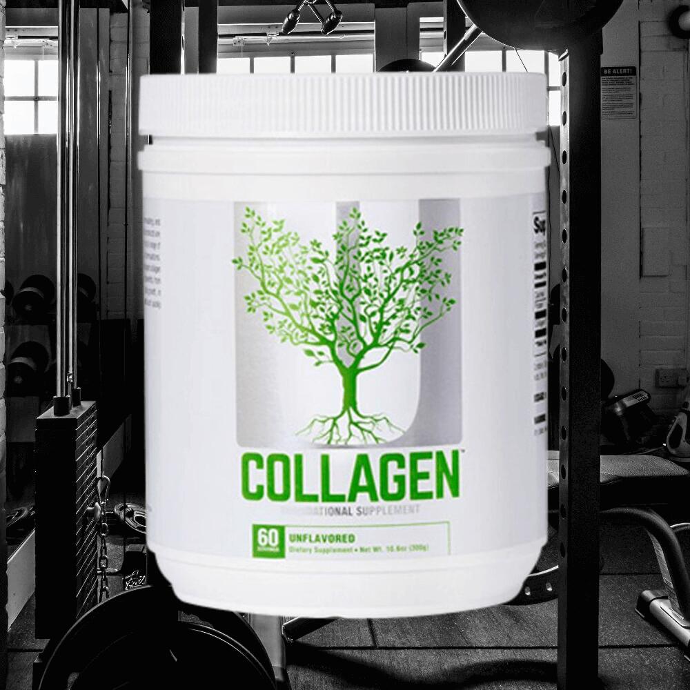 Universal Nutrition Collagen (300g) Unflavored - Eiwitten - Collageen 4/4