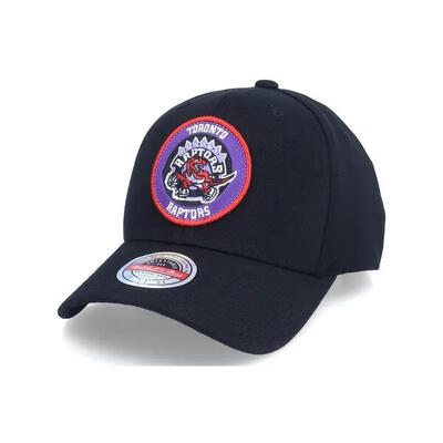 Snapback pet toronto raptors