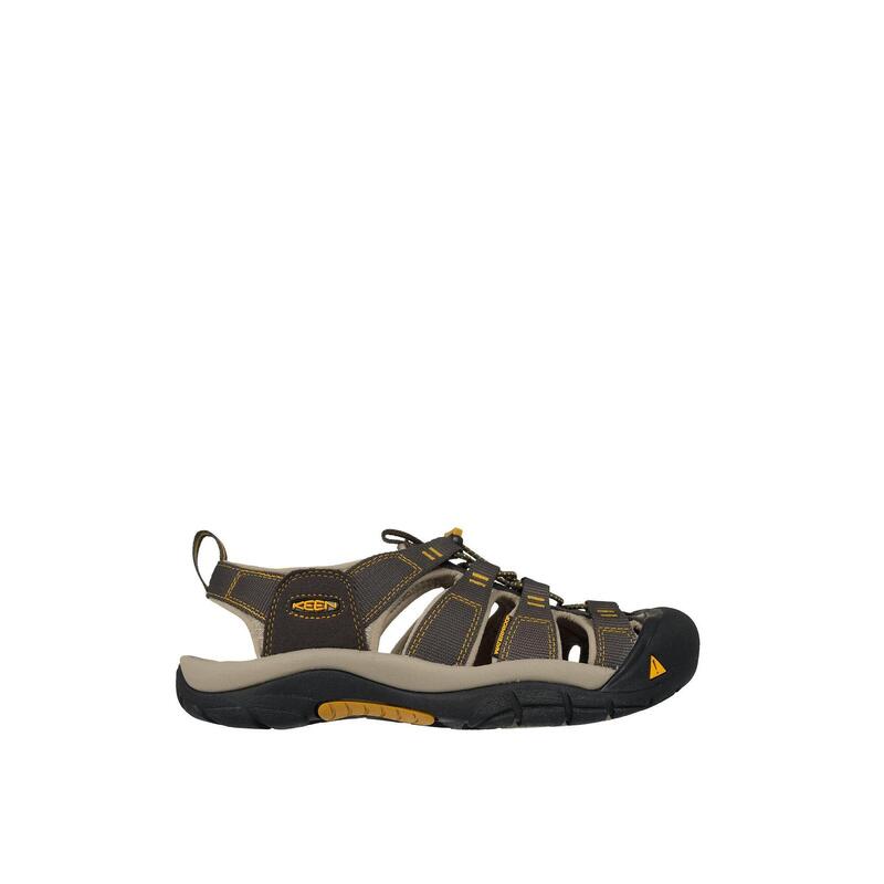 d22a5959-f5a1-46ad-8434-c572a86b2f0a_c42c1c1