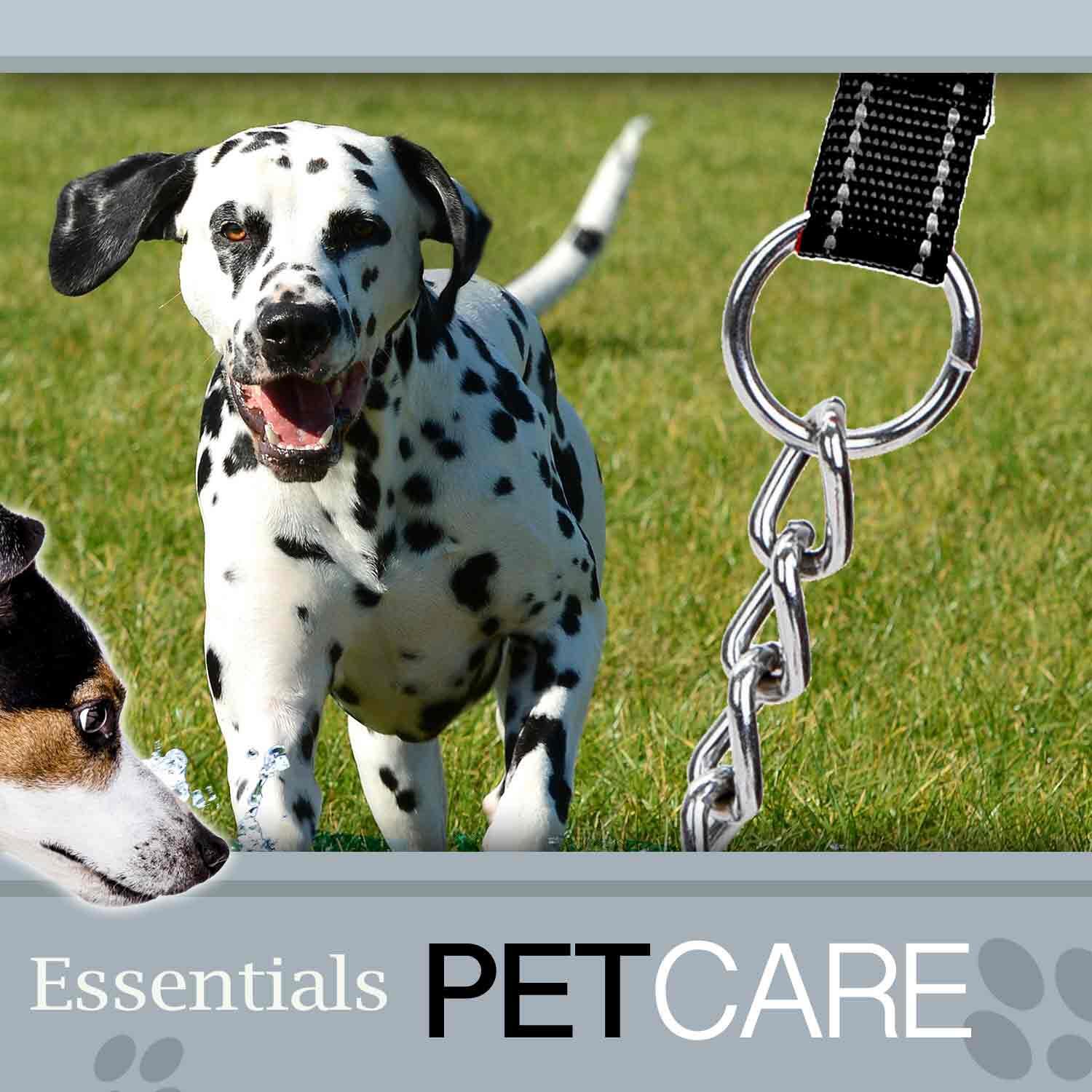 Crufts Reflective Chain Lead, 1.2m, Black 3/7