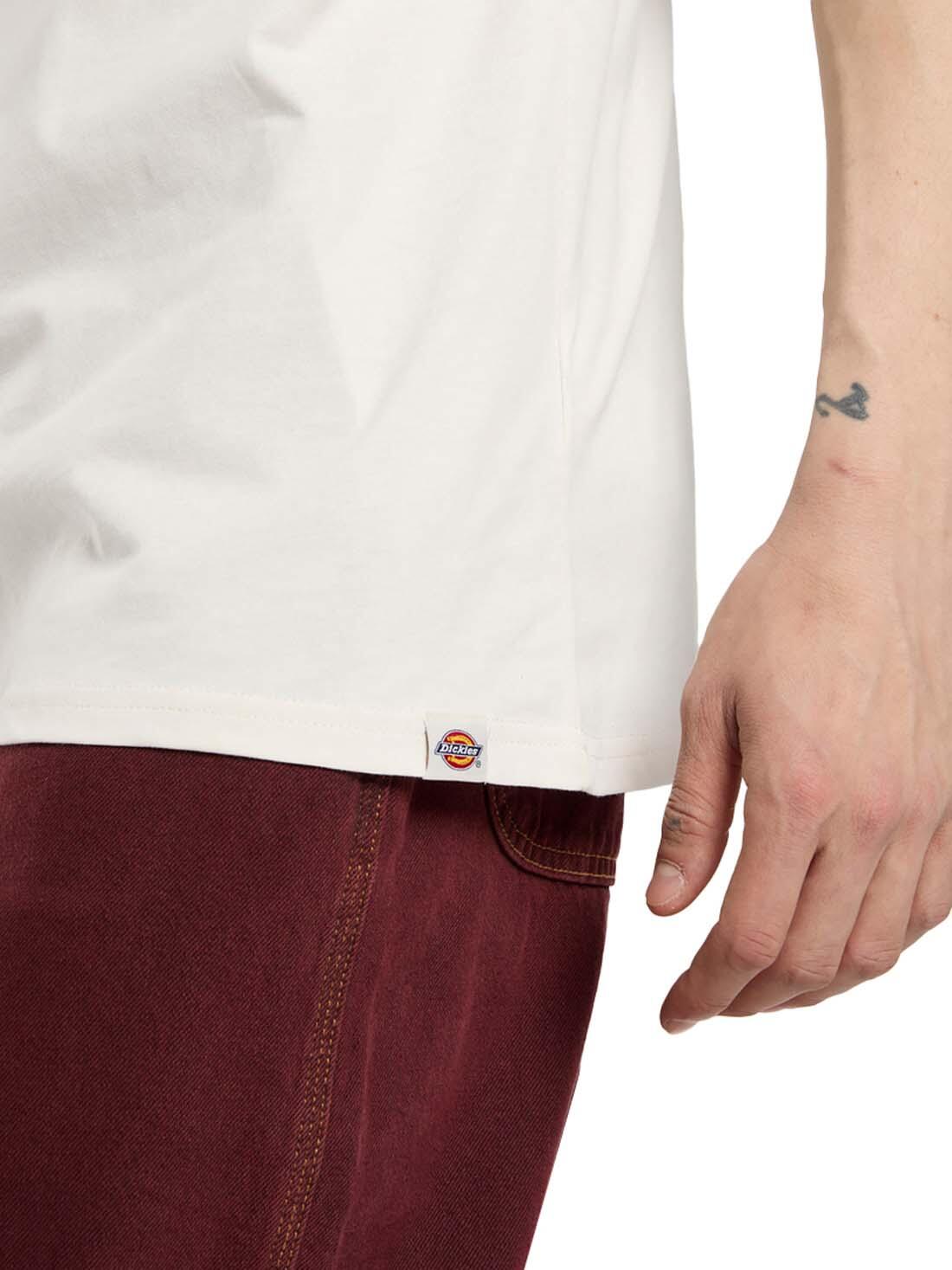 T-shirt Dickies modelo DK0A87QKC481 para homem 4/5