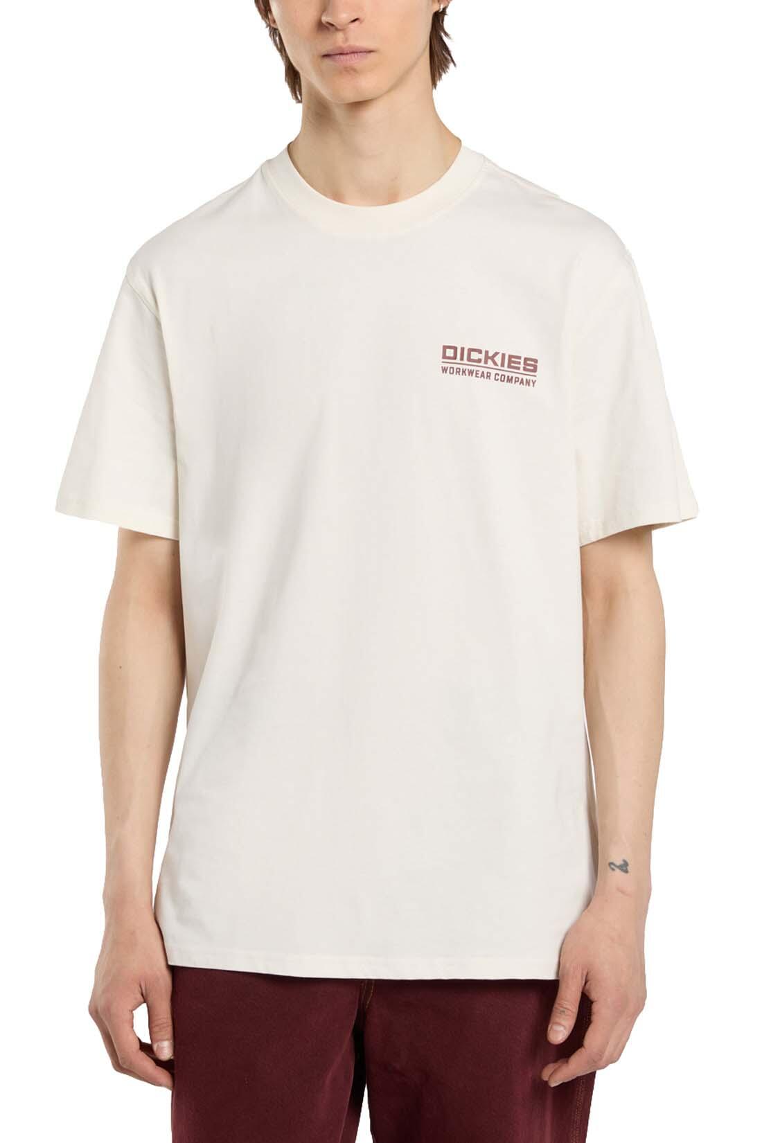 T-shirt Dickies modelo DK0A87QKC481 para homem 2/5
