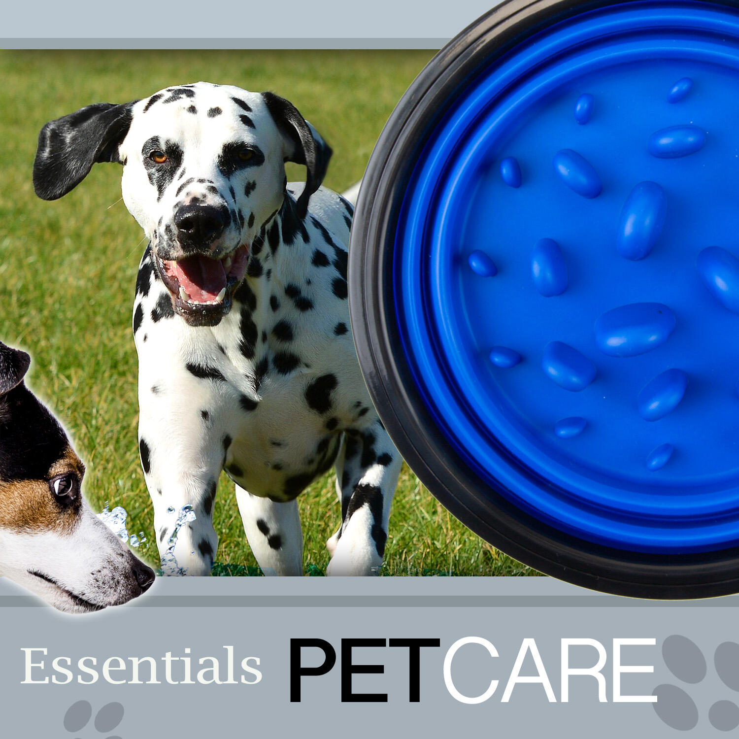 Crufts Collapsible Anti Gulp Travel Pet Food Bowl, 1 Litre 3/7