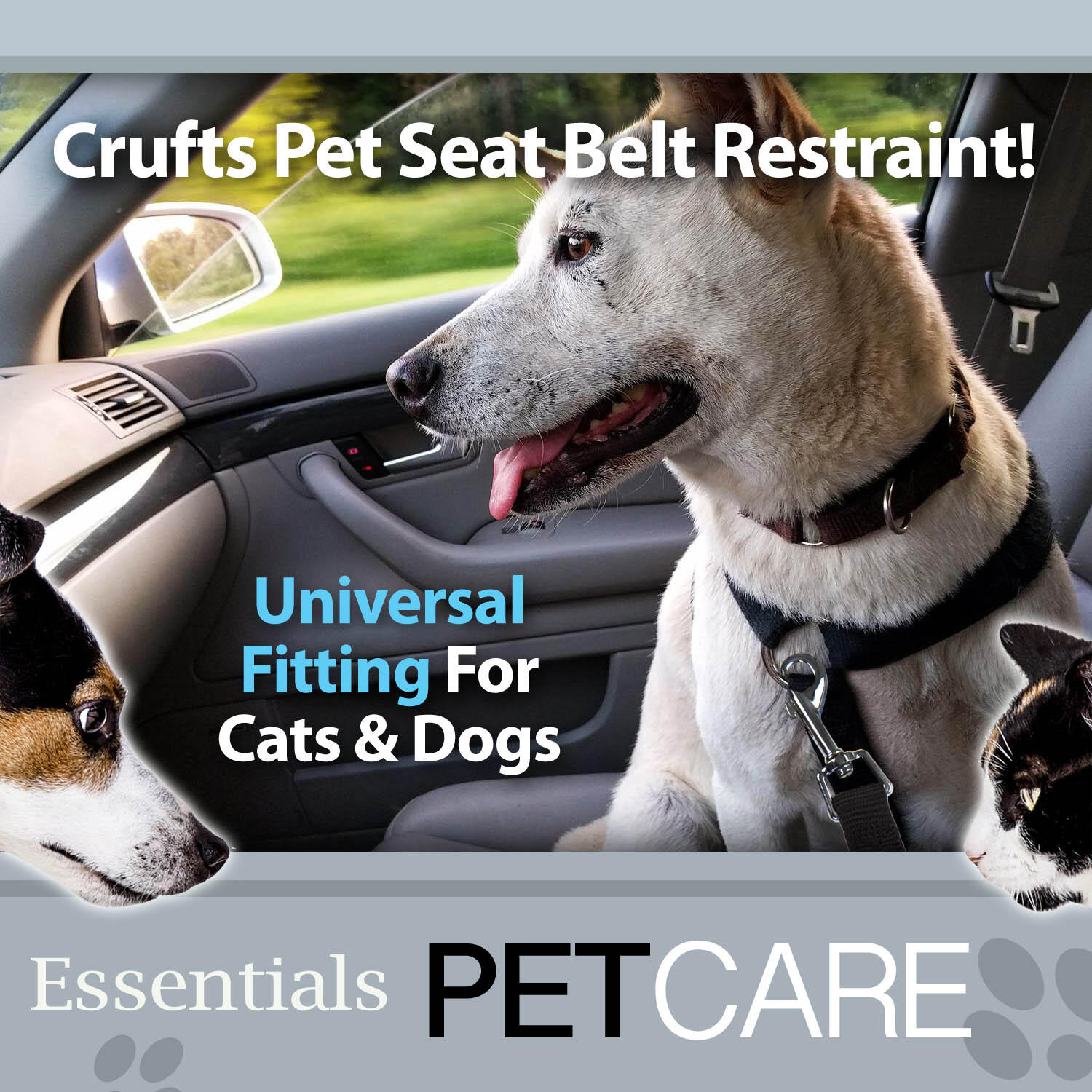 Crufts -Universal Pet Seat Belt Travel Restraint 3 Assorted Car Buckles 2/7