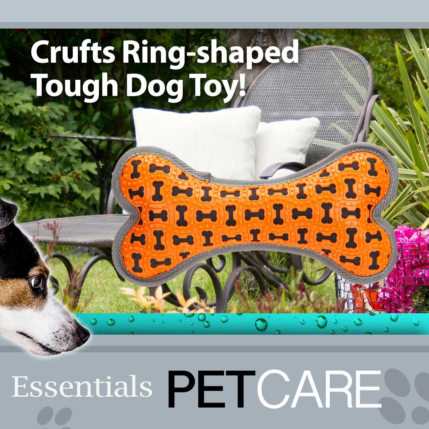 Crufts Tough Toy Bone with Squeaker, Dog Toy, Pet Toy 2/7