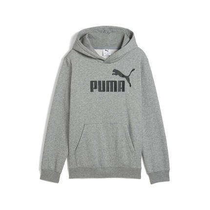 Sweatshirt à capuche enfant Puma No. 1