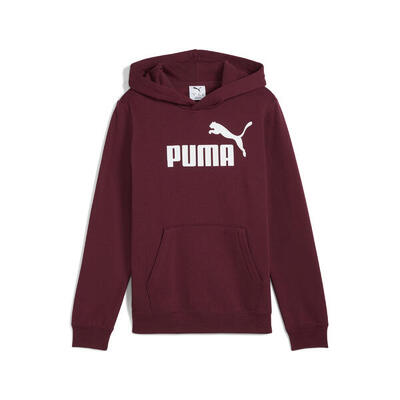 Felpa in pile con cappuccio e logo ESS N. 1 per ragazzi PUMA Mountain Blue