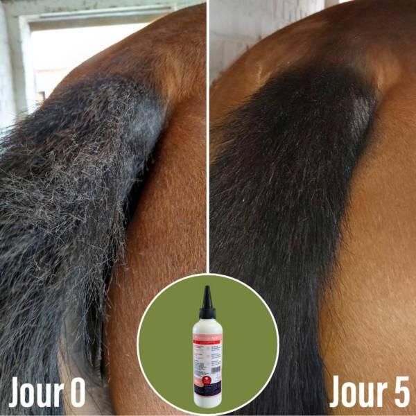 Soin pour la dermite Natural'Itch - Natural'Innov 4/5