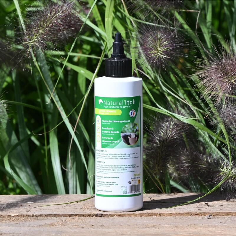 756a1167-d9e9-4c39-bc89-81c2a78b2c52_c258