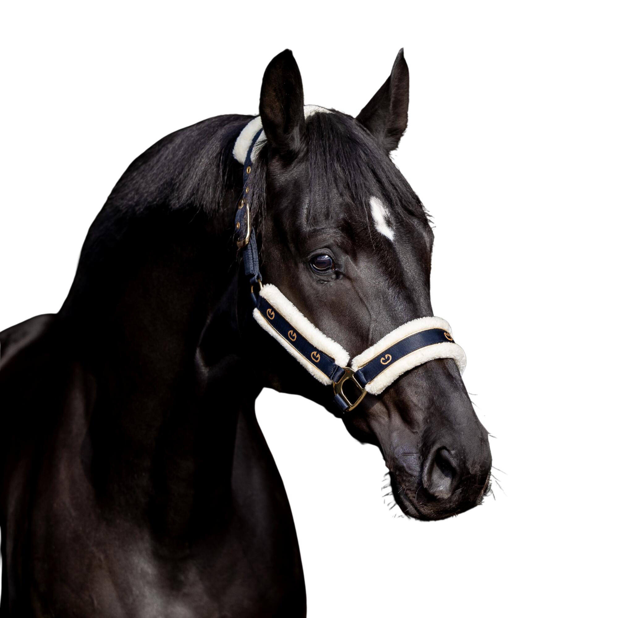 EQUUS BRAND Cabezada SatinPro Gold – cabezada con forro suave