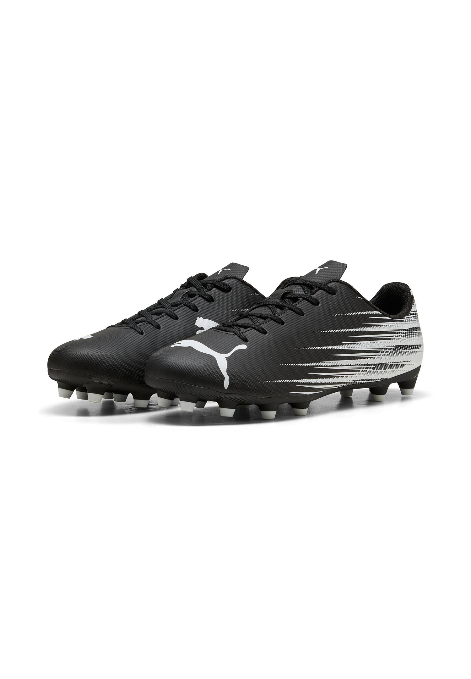 PUMA picture
