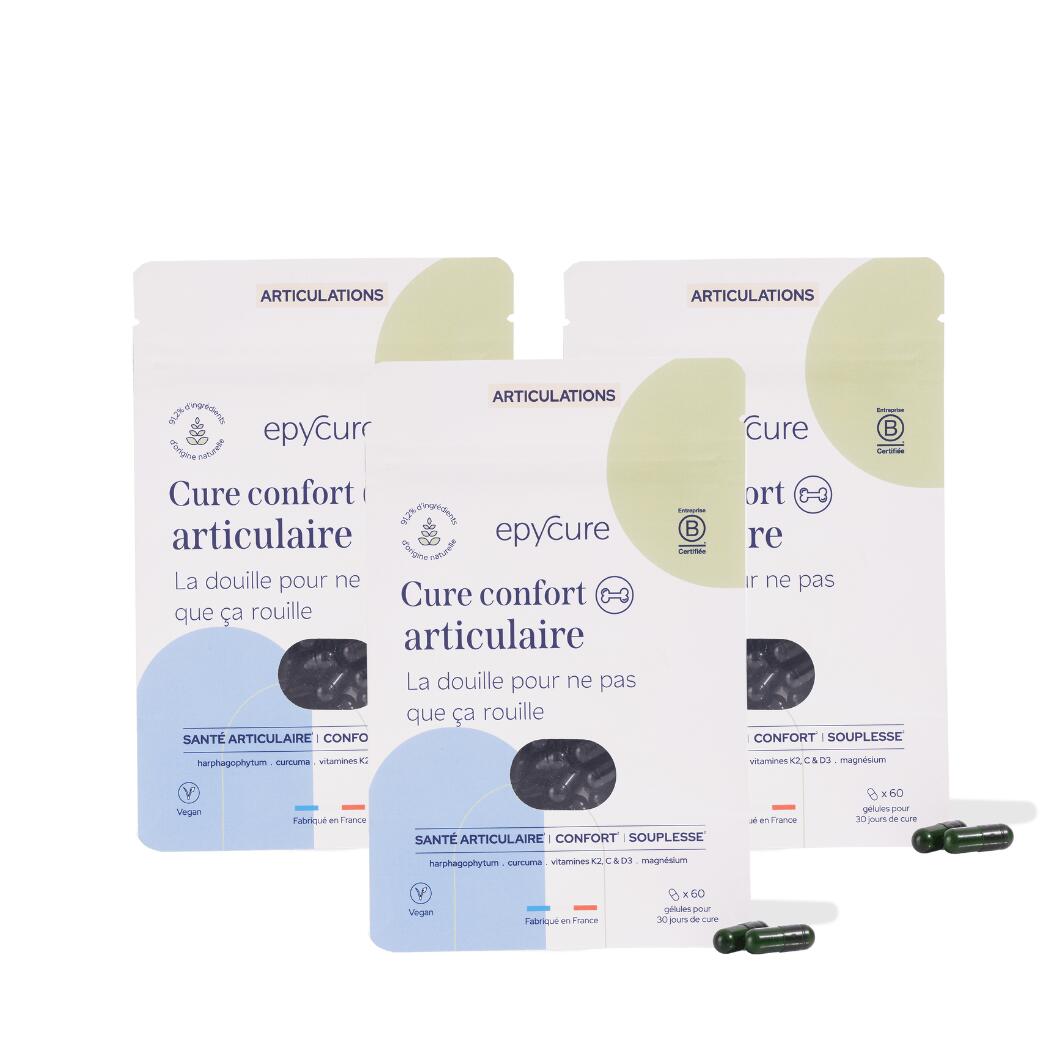 CURE CONFORT ARTICULAIRE x 3 mois 1/4