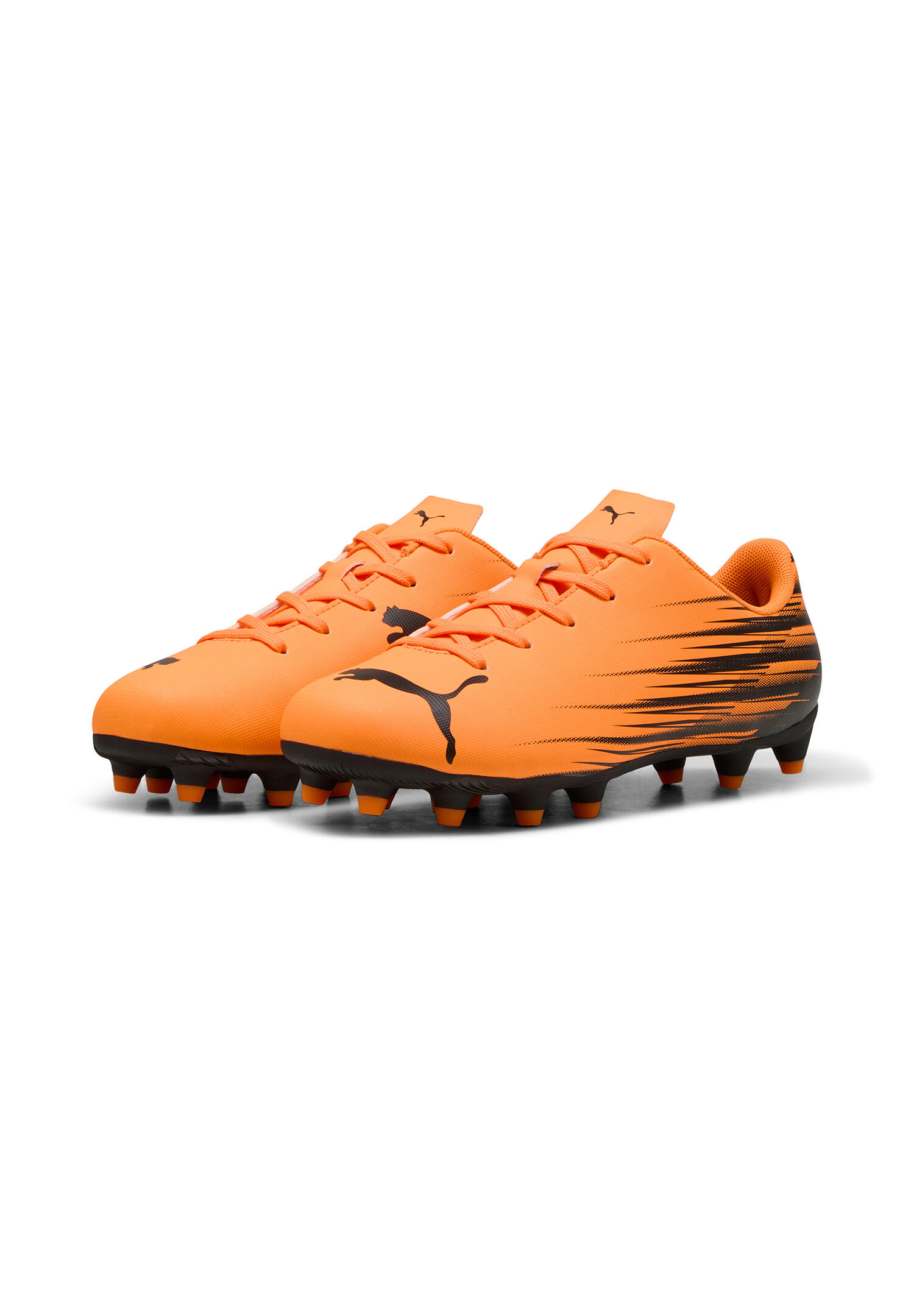 PUMA picture