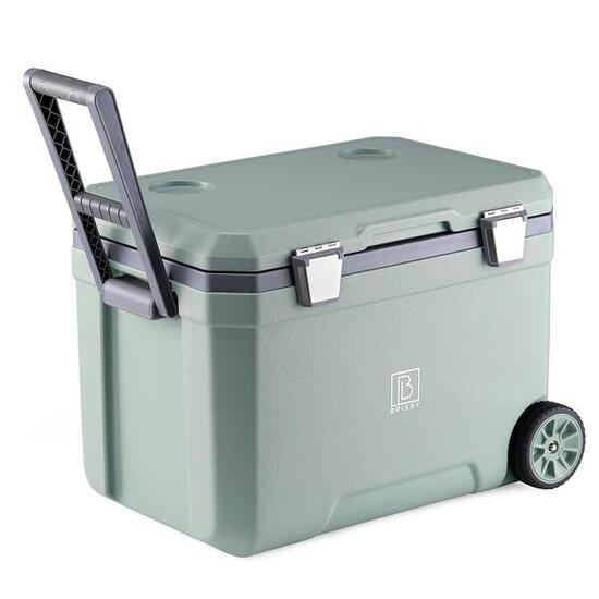 Brisby Koelbox 45L groen