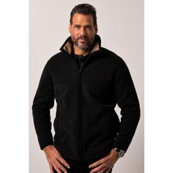 Hommes Veste en polaire Level 4 col montant