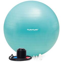 Ballon de fitness - Ballon de yoga - Pompe incluse - Capacité de charge 220 kg