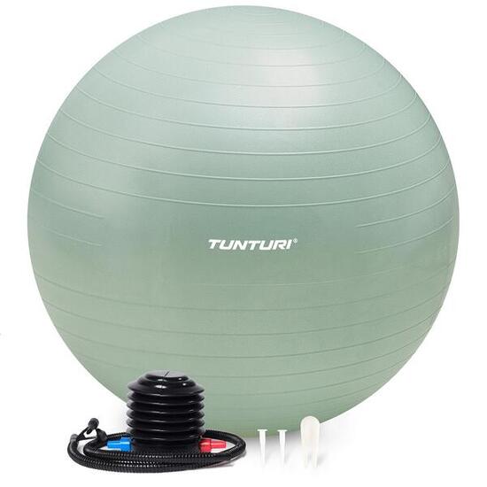 Ballon de fitness - Ballon de yoga - Pompe incluse - Capacité de charge 220 kg