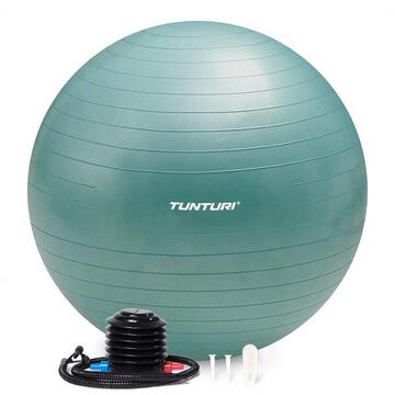 Ballon De Gym Anti-éclatement – PVC Antidérapant, Diam. 25 Cm, Charge 100 Kg, Pompe Incluse