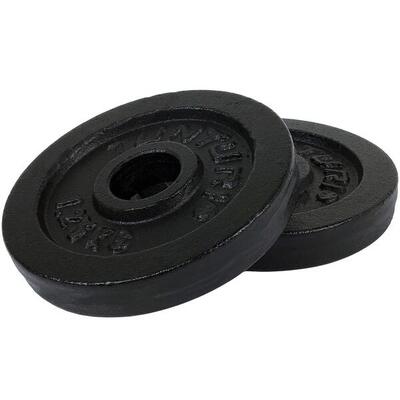 Halterschijven - halter gewichten - ? 30 mm - gietijzer