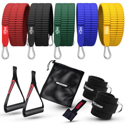 NEOLYMP Bandes de Résistance – 5 Bandes, Ancre Porte & Poignées 4,5–68kg