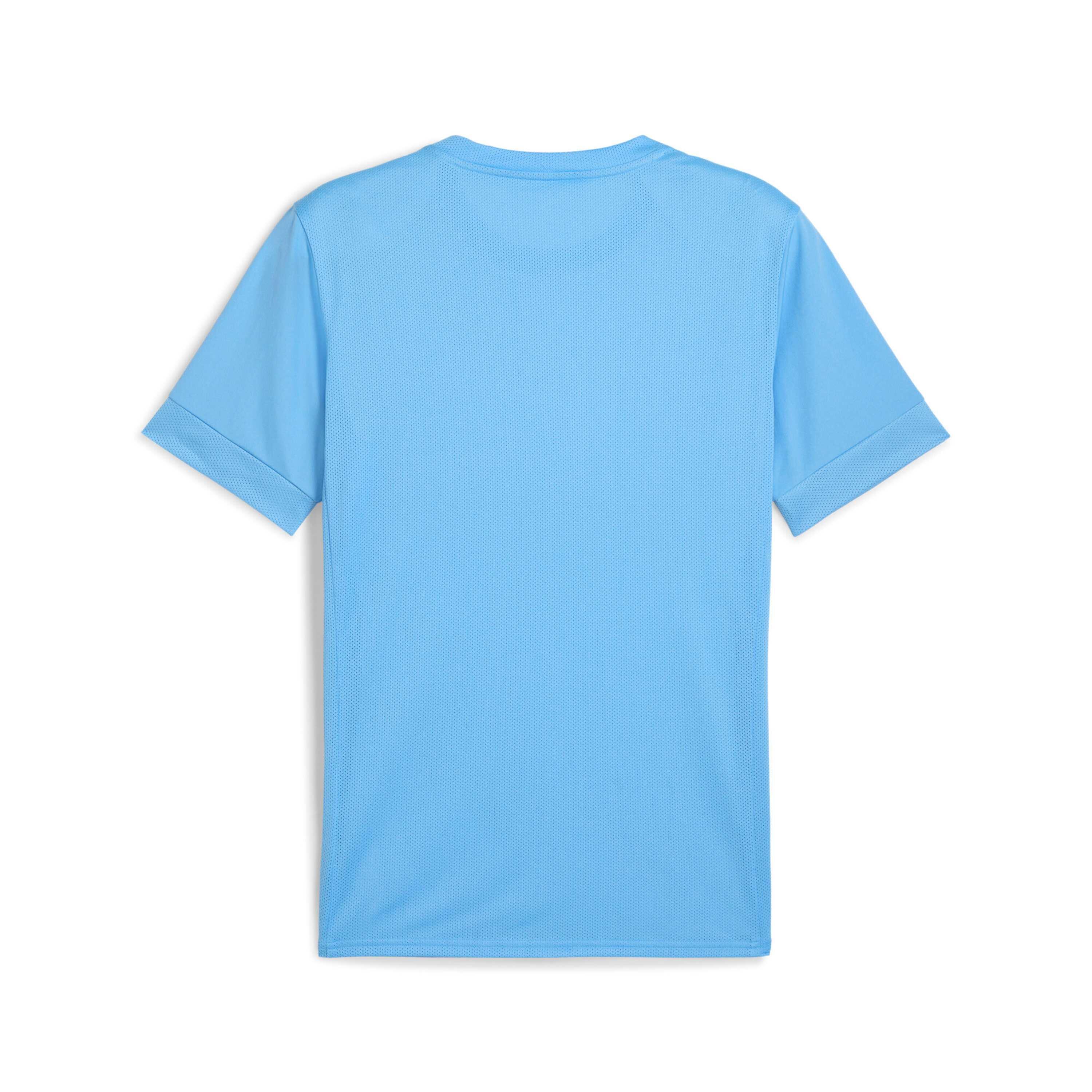 Kindertrikot Puma teamGoal Graphic 2/2