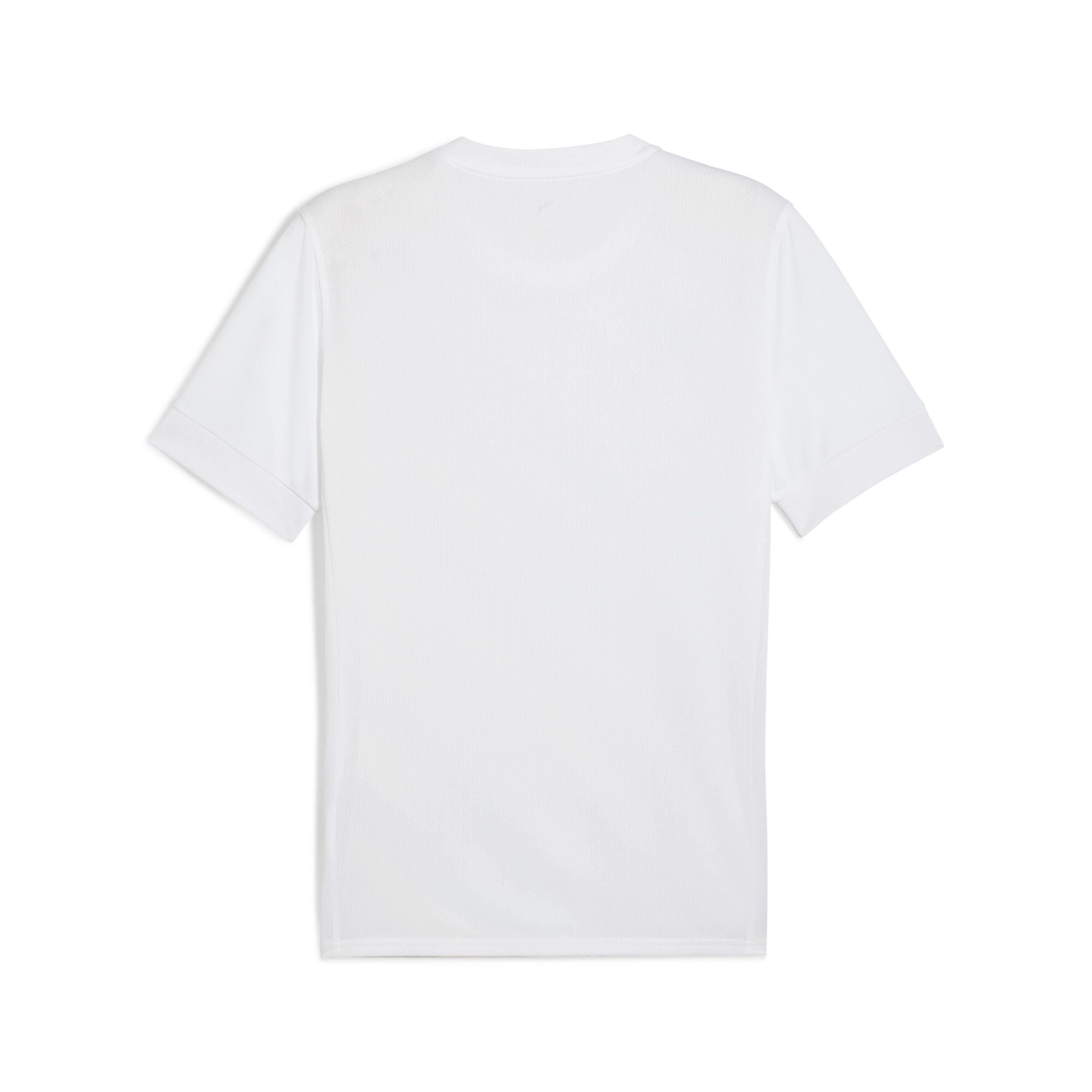 Maillot enfant Puma teamGoal Graphic 2/2