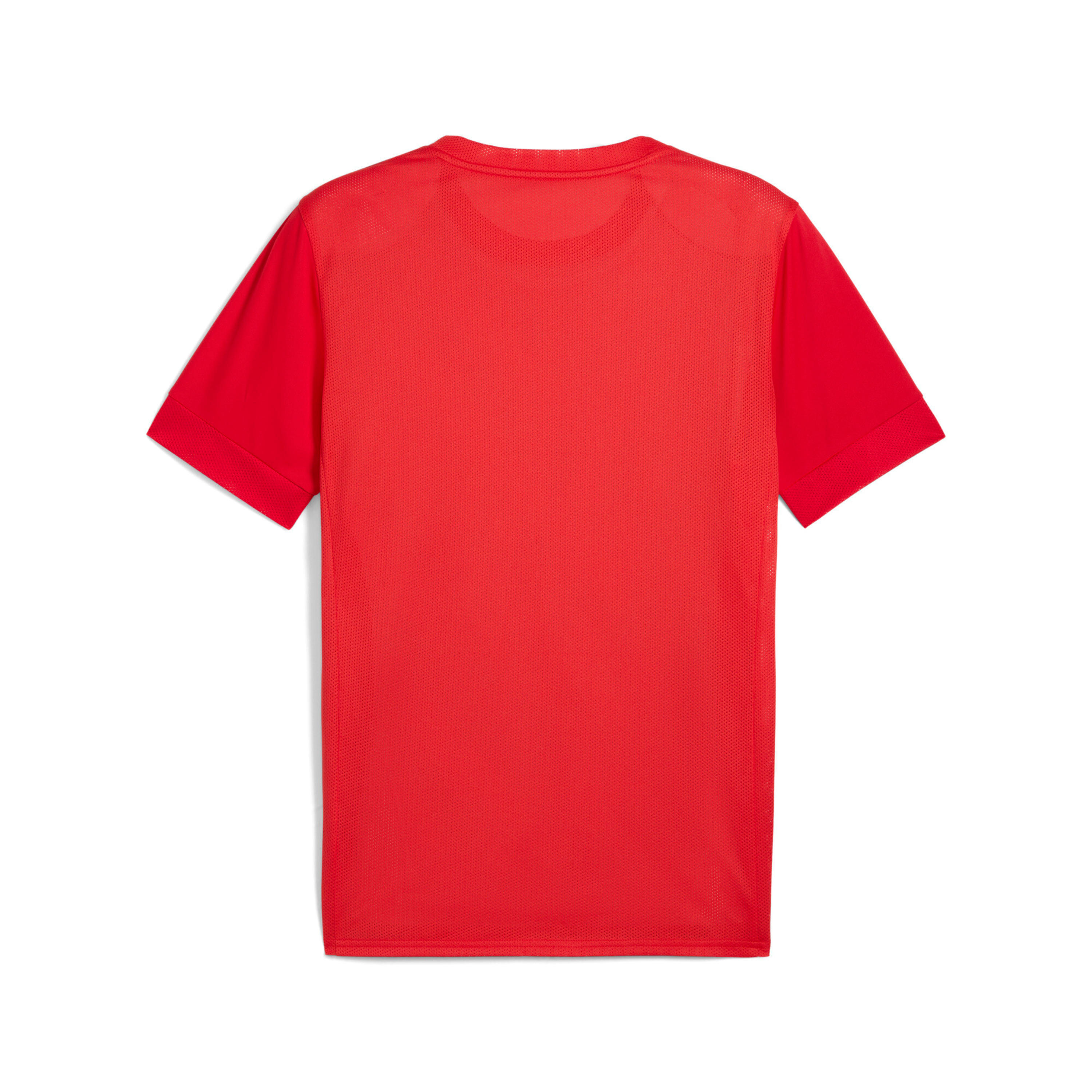 Maglia per bambini Puma teamGoal Graphic 2/2