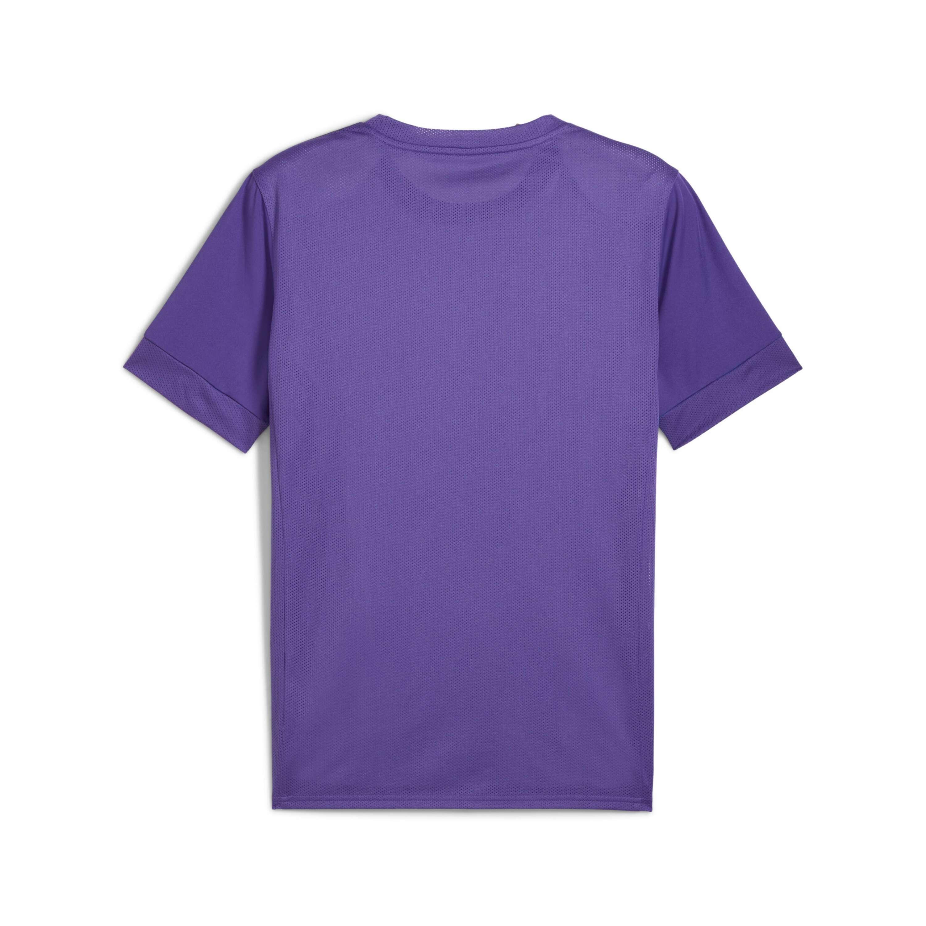 Jersey Puma teamGoal Graphic 2/2