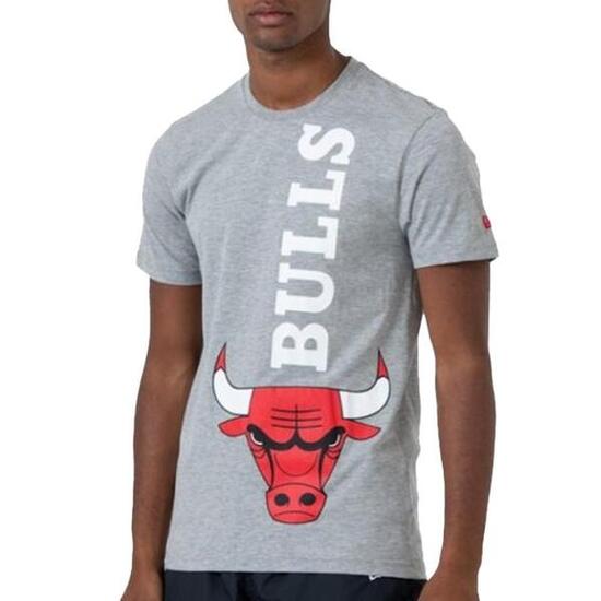 Camiseta Gris Hombre New Era NBA Chicago Bulls