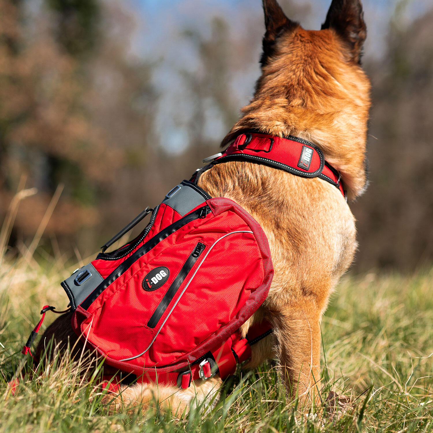 Sacoches pour harnais CONFORT TREK canirandonnée, canitrail (2,3 litres) 3/8