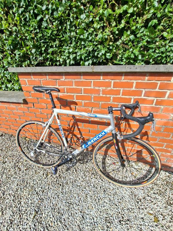 EDDY MERCKX picture